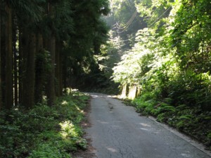 f:id:lupoGTI:20100905185843j:image