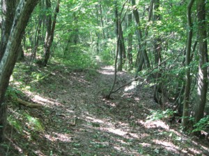 f:id:lupoGTI:20100905190557j:image