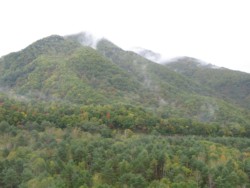 f:id:lupoGTI:20101011204616j:image