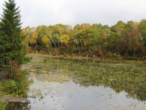 f:id:lupoGTI:20101011205457j:image