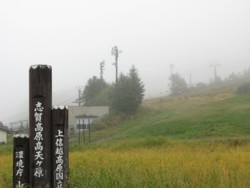 f:id:lupoGTI:20101011205742j:image