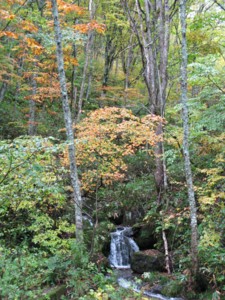 f:id:lupoGTI:20101011210820j:image