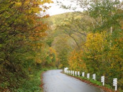 f:id:lupoGTI:20101011211420j:image