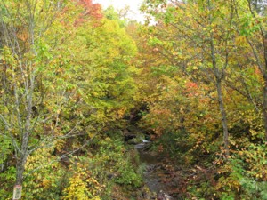 f:id:lupoGTI:20101011211444j:image