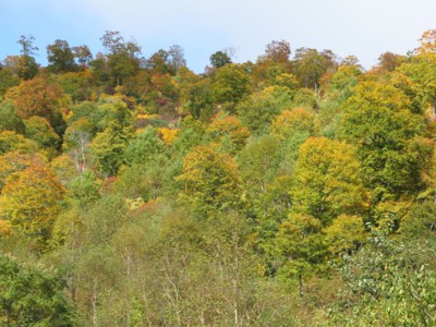 f:id:lupoGTI:20101011211656j:image