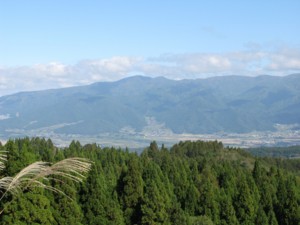 f:id:lupoGTI:20101011213419j:image