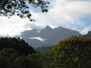 f:id:lupoGTI:20101011214637j:image