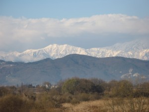 f:id:lupoGTI:20101211133704j:image
