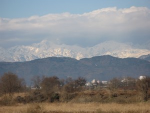 f:id:lupoGTI:20101211133714j:image