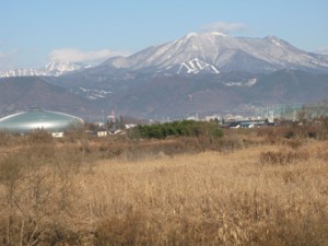 f:id:lupoGTI:20101211133725j:image