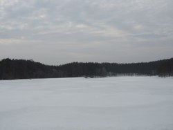 f:id:lupoGTI:20110320212422j:image