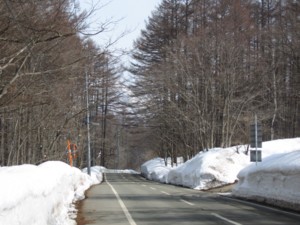 f:id:lupoGTI:20110320212829j:image