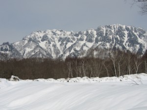 f:id:lupoGTI:20110320212834j:image