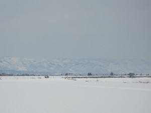 f:id:lupoGTI:20110320214212j:image