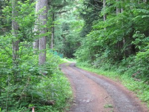 f:id:lupoGTI:20110619000616j:image