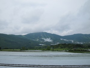 f:id:lupoGTI:20110619001057j:image