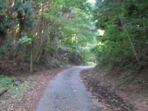 f:id:lupoGTI:20110910092740j:image