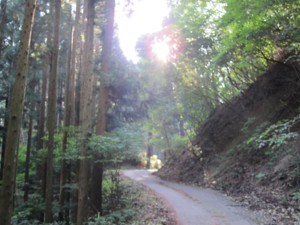 f:id:lupoGTI:20110910092751j:image