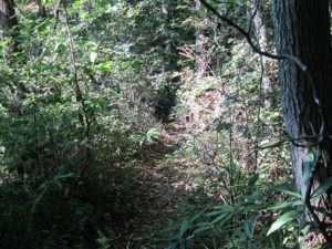 f:id:lupoGTI:20110910094030j:image