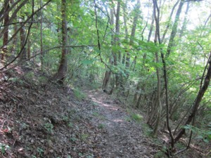 f:id:lupoGTI:20110910094040j:image