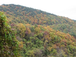 f:id:lupoGTI:20111103171621j:image