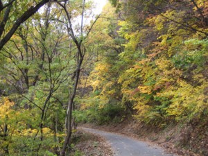 f:id:lupoGTI:20111103171632j:image