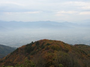 f:id:lupoGTI:20111103172133j:image