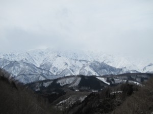 f:id:lupoGTI:20120320213842j:image