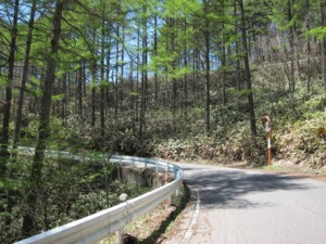 f:id:lupoGTI:20120519184530j:image