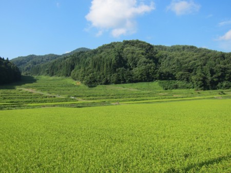 f:id:lupoGTI:20120826155005j:image