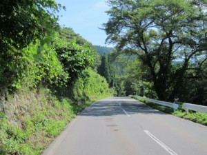 f:id:lupoGTI:20120826155856j:image