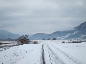 f:id:lupoGTI:20121229162346j:image