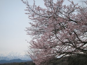 f:id:lupoGTI:20130420215014j:image