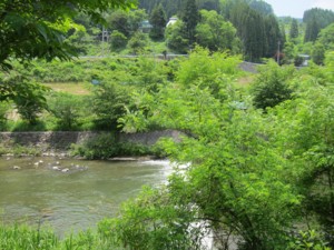 f:id:lupoGTI:20130608160500j:image f:id:lupoGTI:20130608160500j:image