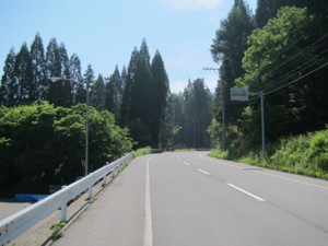 f:id:lupoGTI:20130609200831j:image