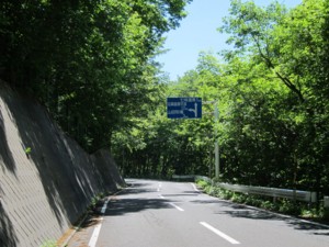 f:id:lupoGTI:20130609201022j:image
