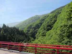 f:id:lupoGTI:20130609201046j:image
