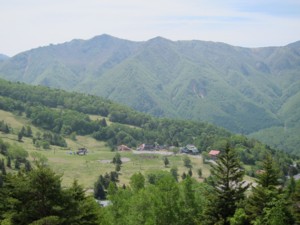 f:id:lupoGTI:20130609201433j:image