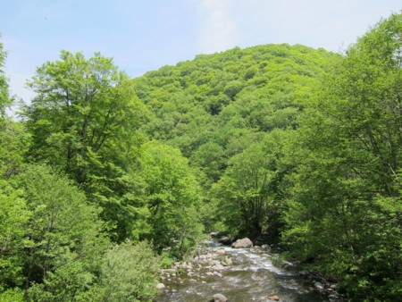 f:id:lupoGTI:20130609203905j:image
