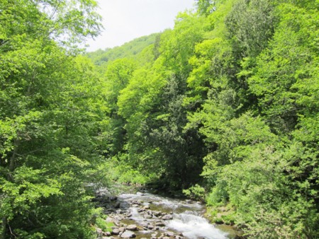 f:id:lupoGTI:20130609203917j:image