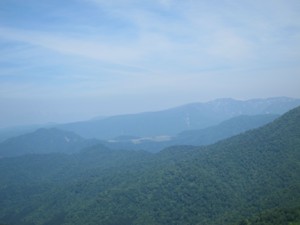f:id:lupoGTI:20130609204256j:image