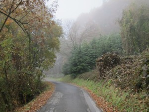 f:id:lupoGTI:20131116181216j:image