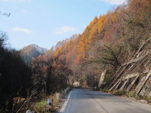 f:id:lupoGTI:20131116181352j:image