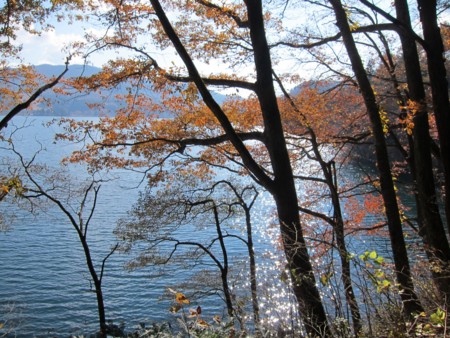f:id:lupoGTI:20131116182115j:image