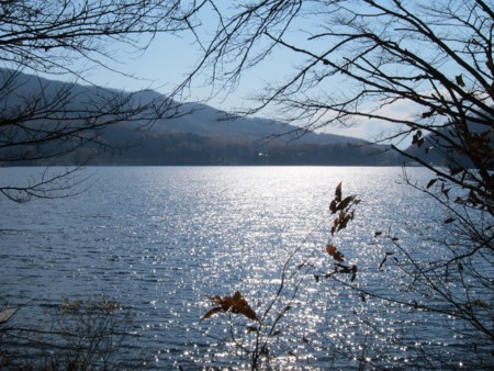 f:id:lupoGTI:20131116182127j:image