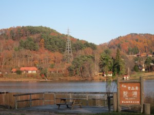 f:id:lupoGTI:20131116182743j:image