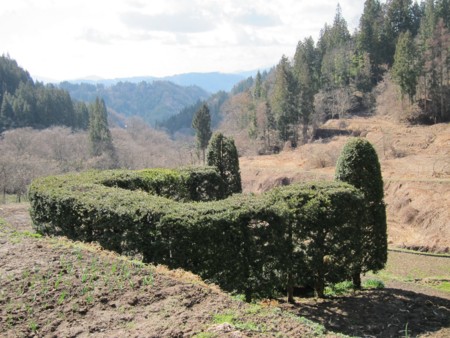 f:id:lupoGTI:20140405181331j:image