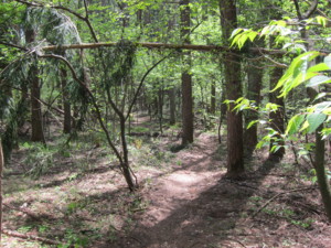 f:id:lupoGTI:20140504191711j:image