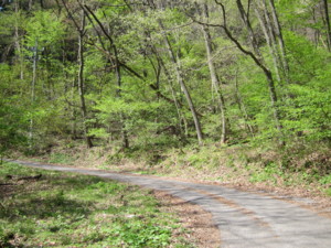 f:id:lupoGTI:20140504191729j:image