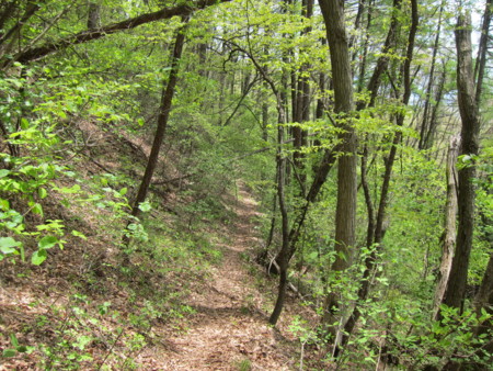 f:id:lupoGTI:20140504192001j:image